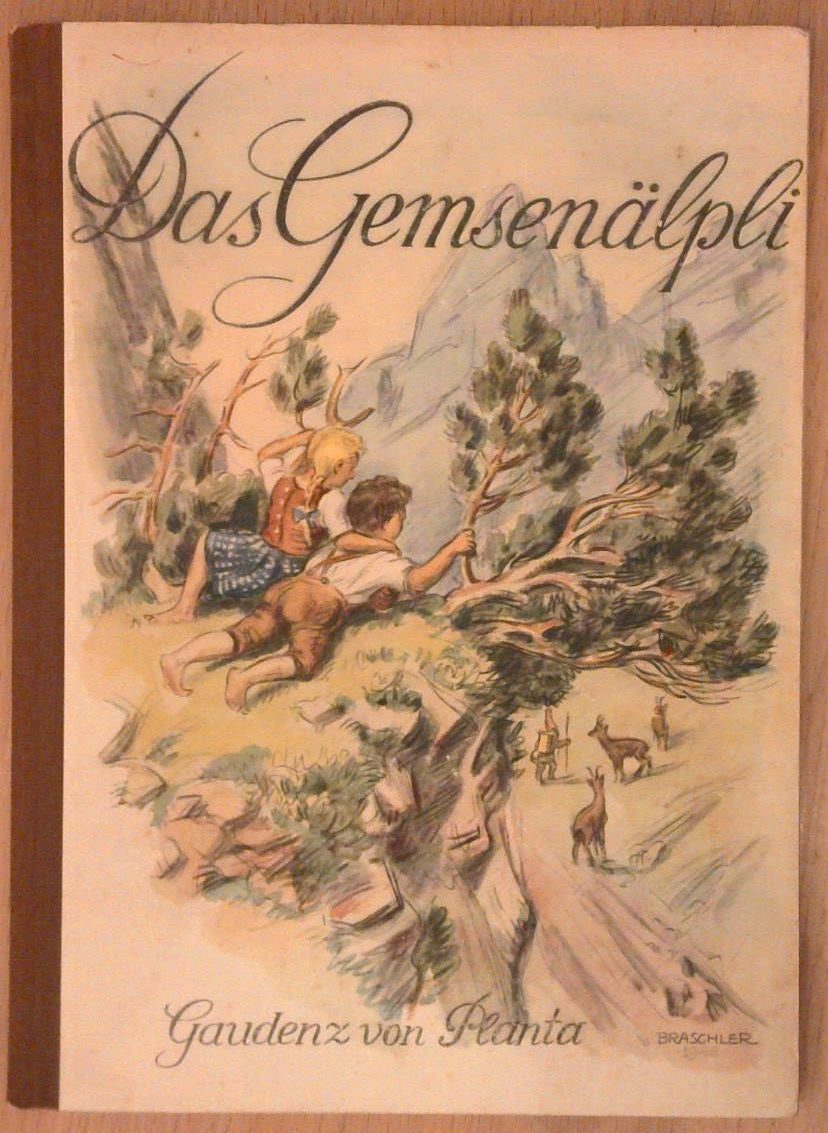 Das Gemsenälpli.